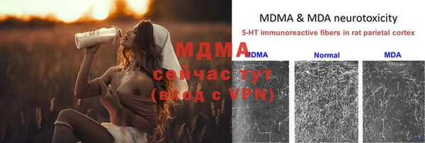 СК Аркадак