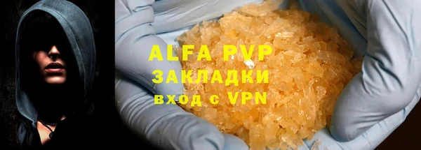 СК Аркадак