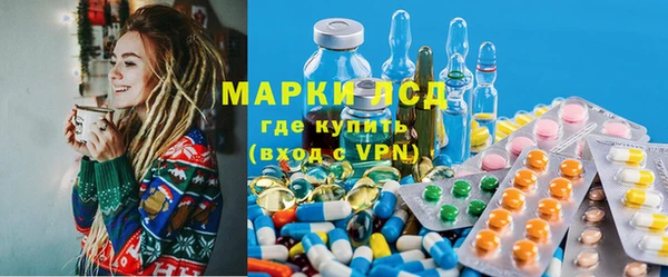 СК Аркадак
