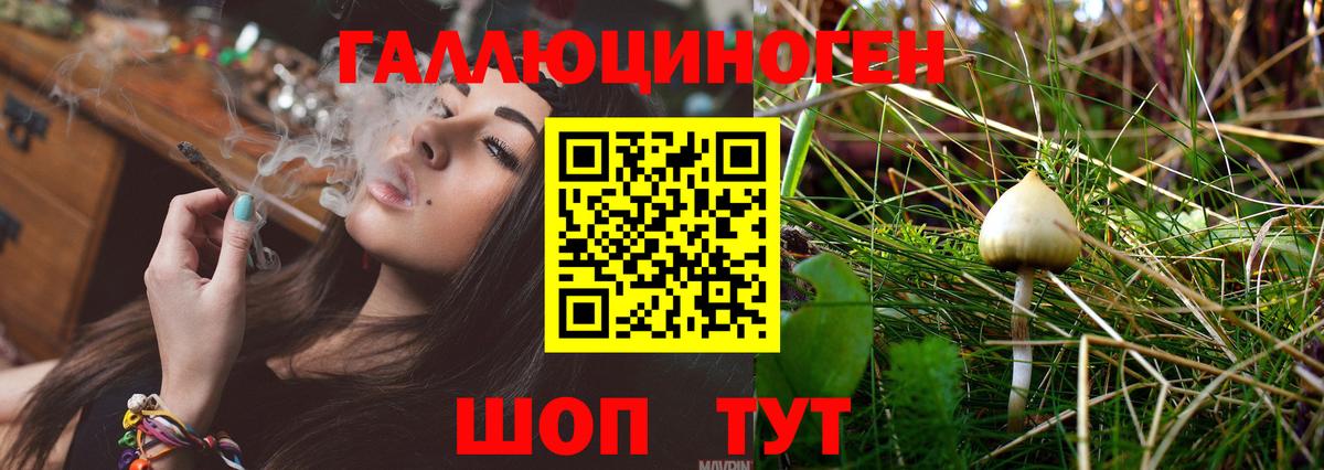 Галлюциногенные грибы Cubensis  Псилоцибиновые грибы Cubensis  Волгодонск  Вход с VPN 