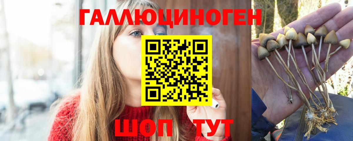 Галлюциногенные грибы мицелий Волгодонск